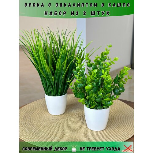 фото Искусственные цветы для интерьера в горшке осока и эвкалипт greenhol, набор искусственные цветы для декора 2 шт 23 см