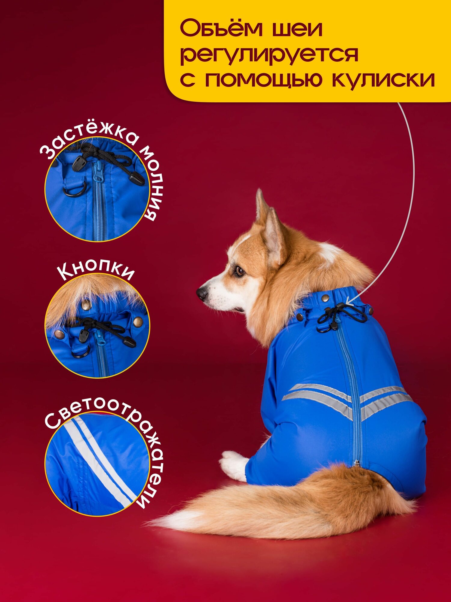 Водоотталкивающий комбинезон DiploDog для Корги (девочка), Одежда для Корги (девочка) — фото 1