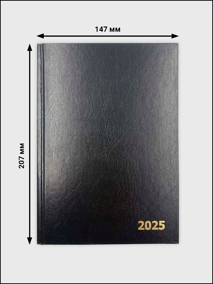 Ежедневник датированный на 2025 год Axler, планер мужской и женский блокнот А5, 168 листов — фото 1