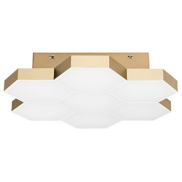 Потолочная люстра Lightstar FAVO 750073 - фото №1
