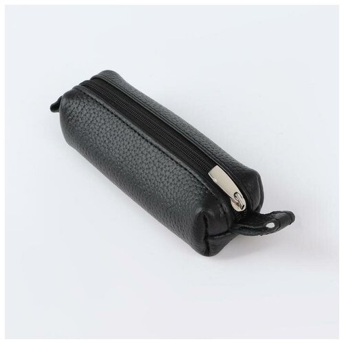 Ключница на молнии длина 12 см кольцо цвет чёрный 770₽