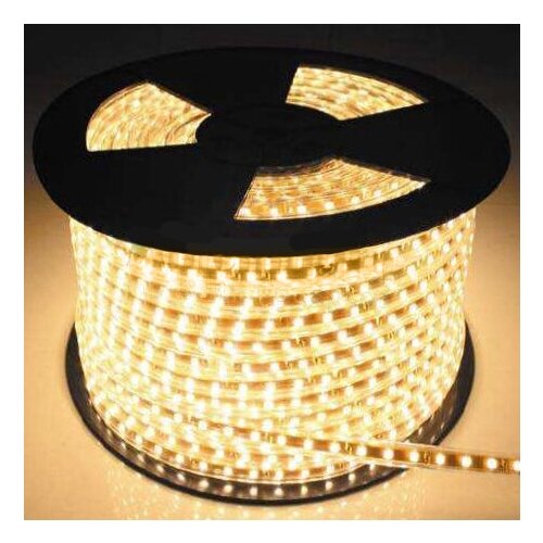 Торг Хаус Светодиодный дюралайт 13 мм теплый белый, 100 м, трехжильный, 2400 LED, IP44 DL-LED-100-3WW