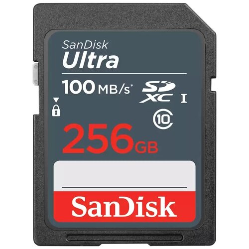 Карта памяти SanDisk SD 256 ГБ Class 10, V10, A1, UHS-I, R 100 МБ/с, 1 шт., серый