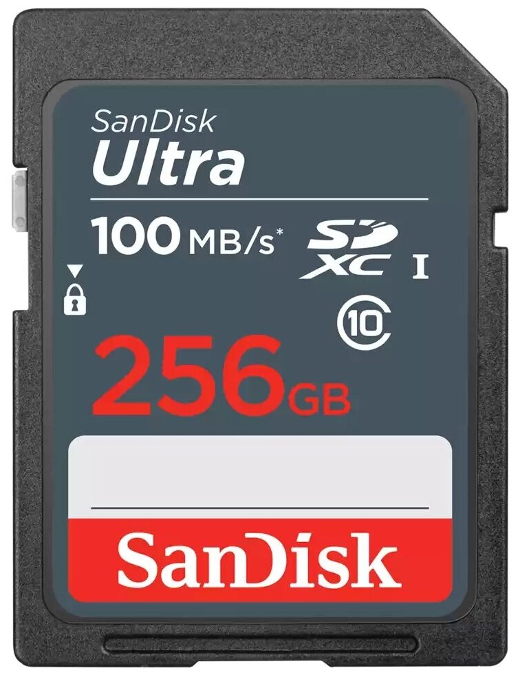 Карта памяти Sandisk SDXC 256GB UHS-I SDSDUNR-256G-GN3IN