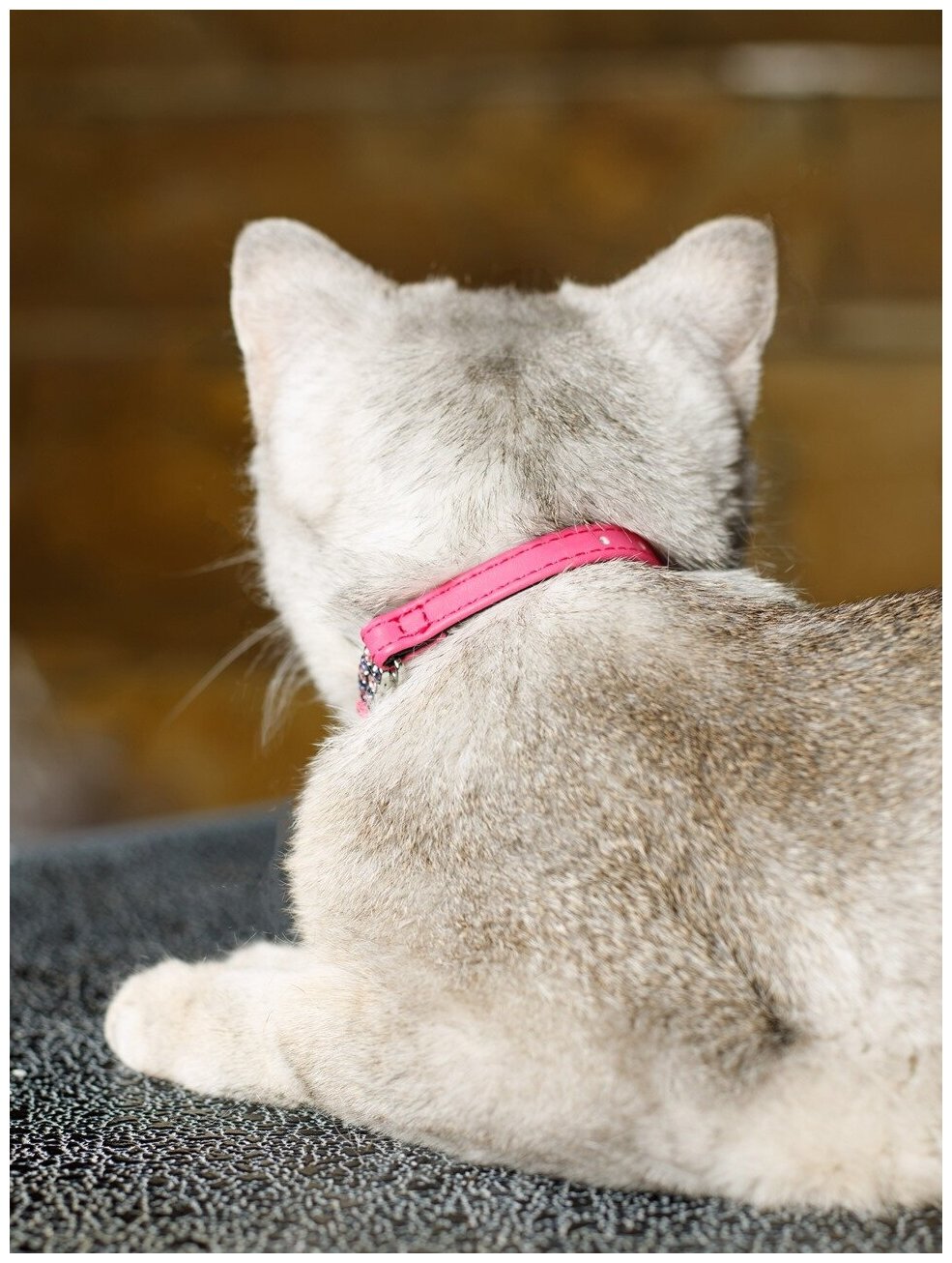 Безопасный ошейник Japan Premium Pet алмазные подвески для кошек, размер 3S, розовый - фотография № 7
