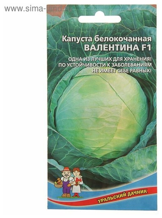 Семена Уральский дачник Капуста белокочанная Валентина F1 02 г