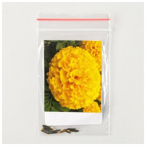 Семена цветов Бархатцы 