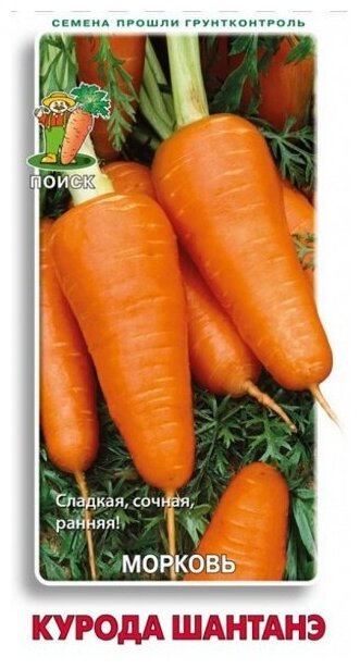 Морковь "Поиск" Курода шантанэ 2г