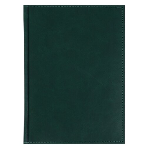 Ежедневник Calligrata Вивелла 76090 датированный на 2024 год, искусственная кожа, А5, 168 листов, зелeный