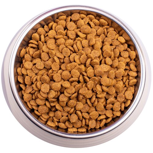 Gemon Cat Adult сухой корм для взрослых кошек с курицей и индейкой 10 кг
