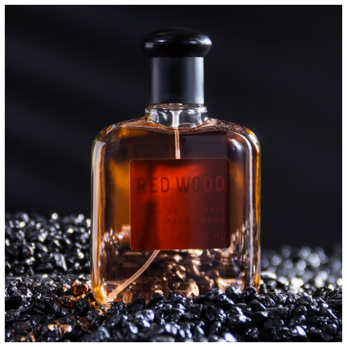 Today Parfum туалетная вода Colour essences Red Wood, 100 мл, 271 г туалетная вода мужская colour essences orange 100 мл