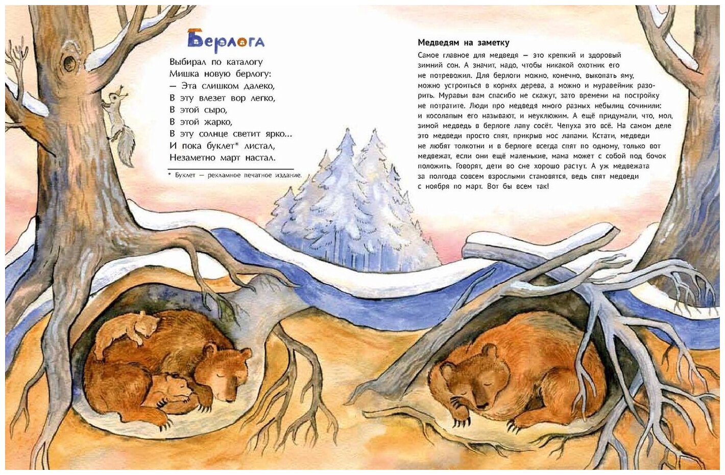 Гнёзда, дупла и берлоги (Игнатова Анна Сергеевна, Волкова Наталия Геннадьевна) - фото №2