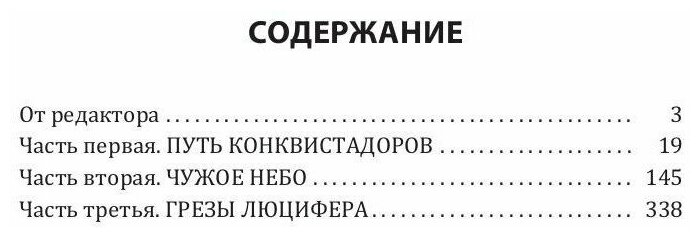 Разведка боем (Звягинцев Василий Дмитриевич) - фото №2