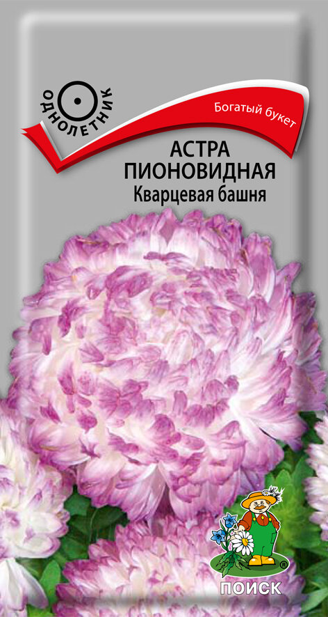 Астра Кварцевая башня пионовидная 03г (Поиск)
