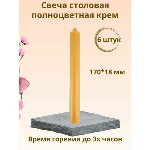 фото Свеча столовая/хозяйственная полноцветная "пастель" 170х18 мм, цвет: крем, время горения 2-3 ч, 6 шт. chameleon