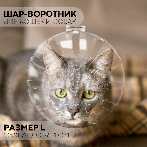 Намордник шар Картофан воротник для кошек прозрачный маска, 8 см