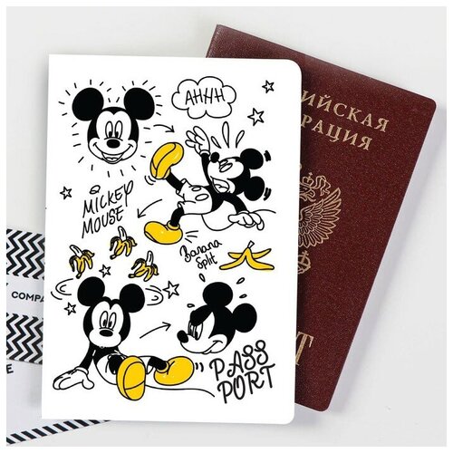   для паспорта Disney