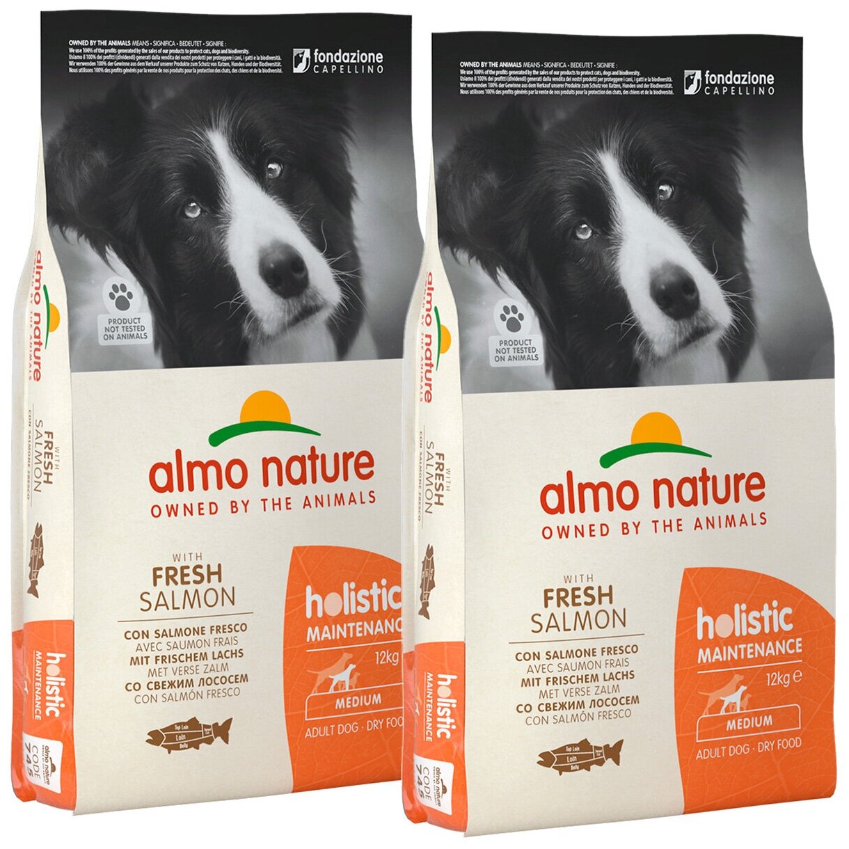 ALMO NATURE ADULT DOG MEDIUM & SALMON для взрослых собак средних пород с лососем (12 + 12 кг)