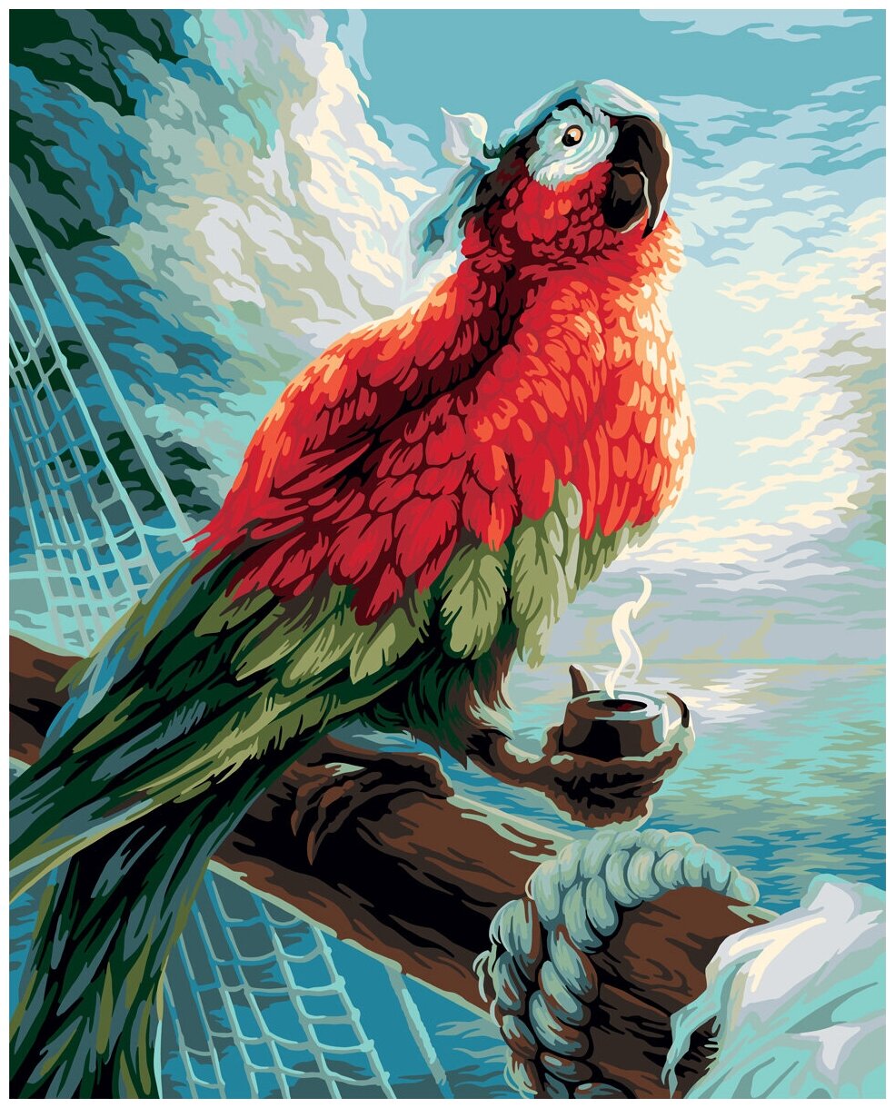Фрея PNB/PL-057 Набор для раскрашивания по номерам 50 х 40 см Пиратский попугай