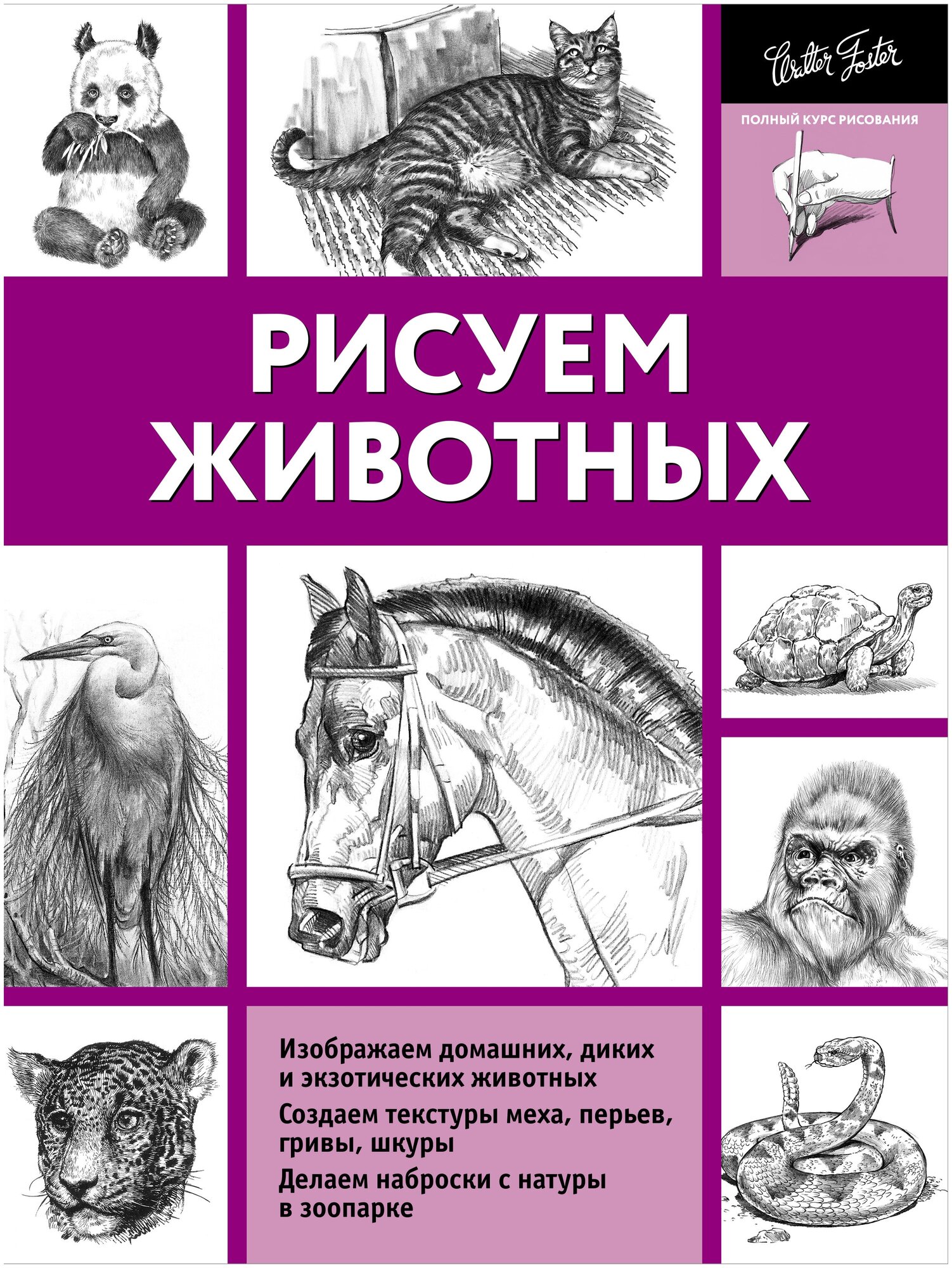 Рисуем животных (Фостер Уолтер Томас) - фото №5