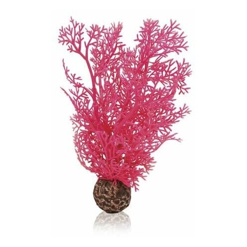 Розовый морской веер, малый, Sea fan small pink