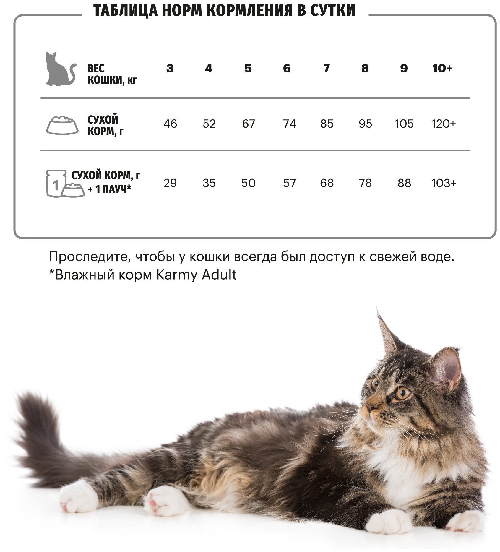 Сухой корм для кошек Karmy Maine Coon, индейка — купить в интернет ...