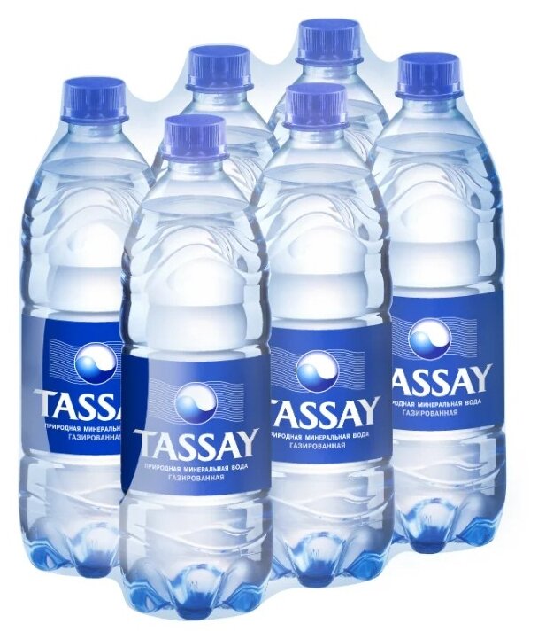 TASSAY/ тассай/ Минеральная природная столовая питьевая вода/ газированная/ 6 шт. по 1 л - фотография № 1