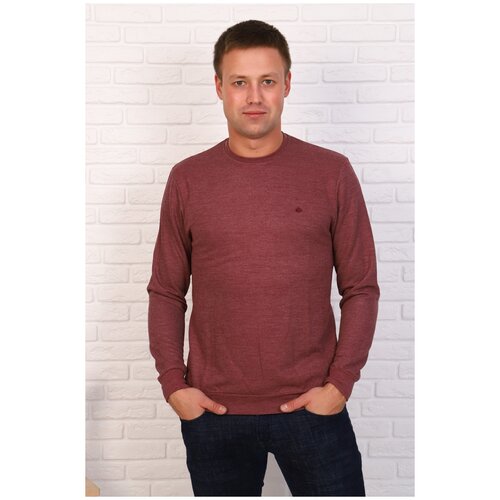 фото Футболка мужская, артикул: 015027, цвет: бордовый, размер: 48 berchelli