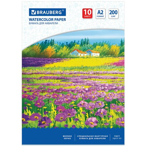 Бумага для акварели большая А2, 10 л., 200 г/м2, 400×590 мм, B-B, «Луг», 111062