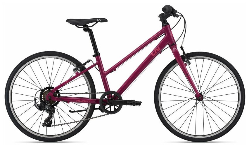 Подростковый велосипед GIANT Alight 24 Фиолетовый One Size