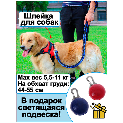 Шлейка для собак/шлейка прогулочная/ремень для собак/поводок (размер S, красная)