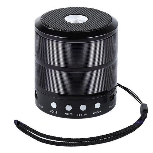 Портативная колонка Bluetooth Mini Speaker WS-887 69900₽