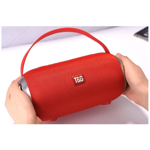 Портативная акустика T G TG509 10 Вт 179000₽