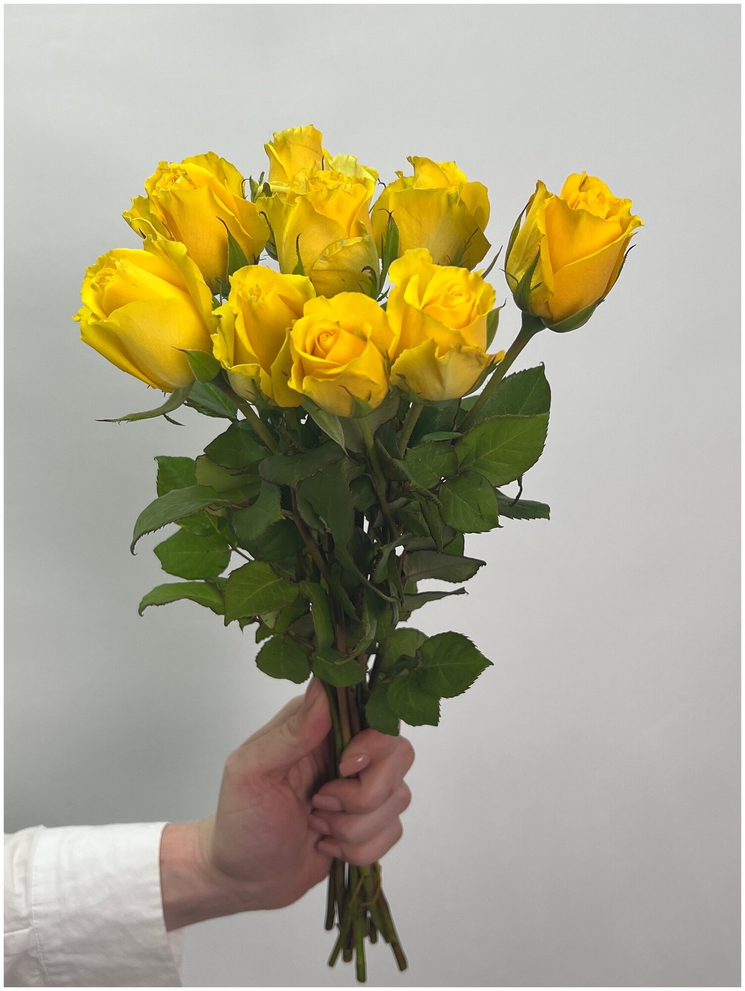 Роза желтая Кения 40 см 9 шт