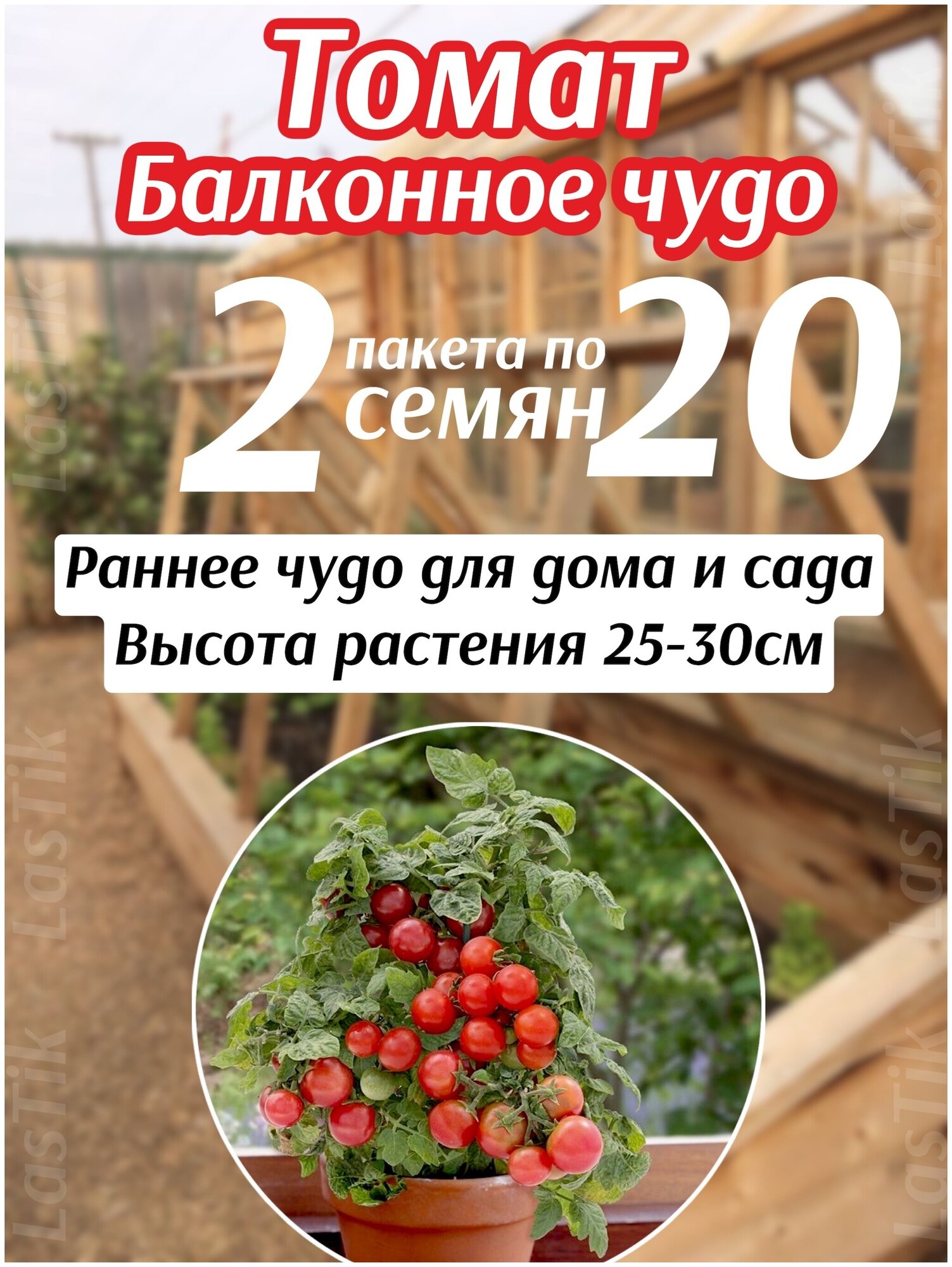 Томат Балконное чудо 2 пакета по 20шт семян