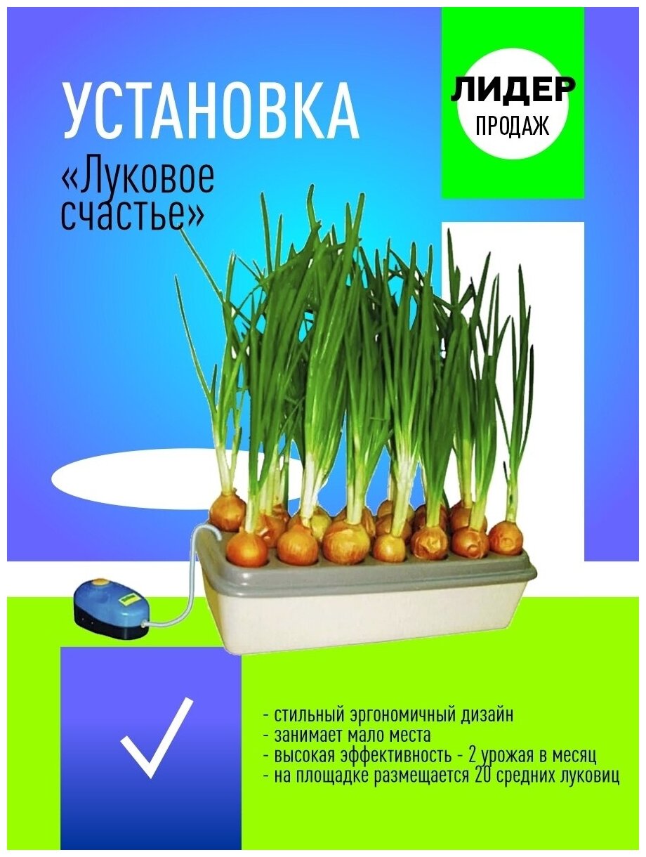 Луковое Счастье гидропоника для выращивания зёлёного лука на подоконнике - фотография № 8