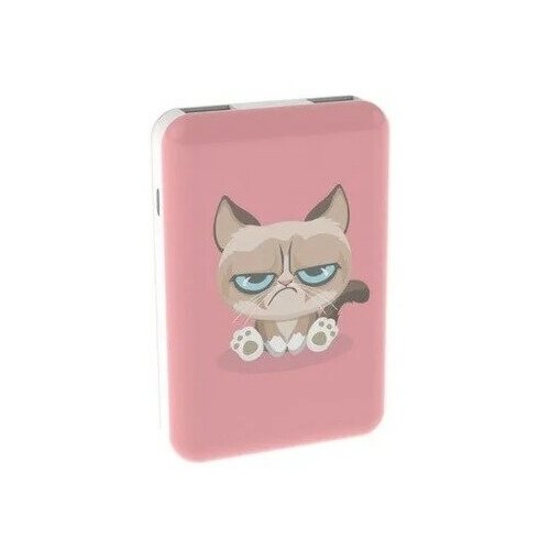 Внешний аккумулятор RITMIX RPB-10007 Grumpy Cat 254500₽