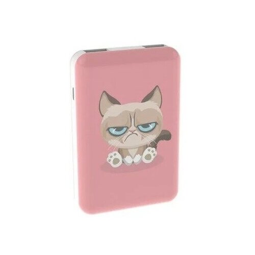 Внешний аккумулятор RITMIX RPB-10007 Grumpy Cat