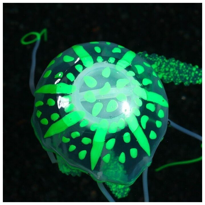 Декор для аквариума "Медуза" силиконовая, с неоновым эффектом, 5 х 5 х 15 см, зелёная - фотография № 4