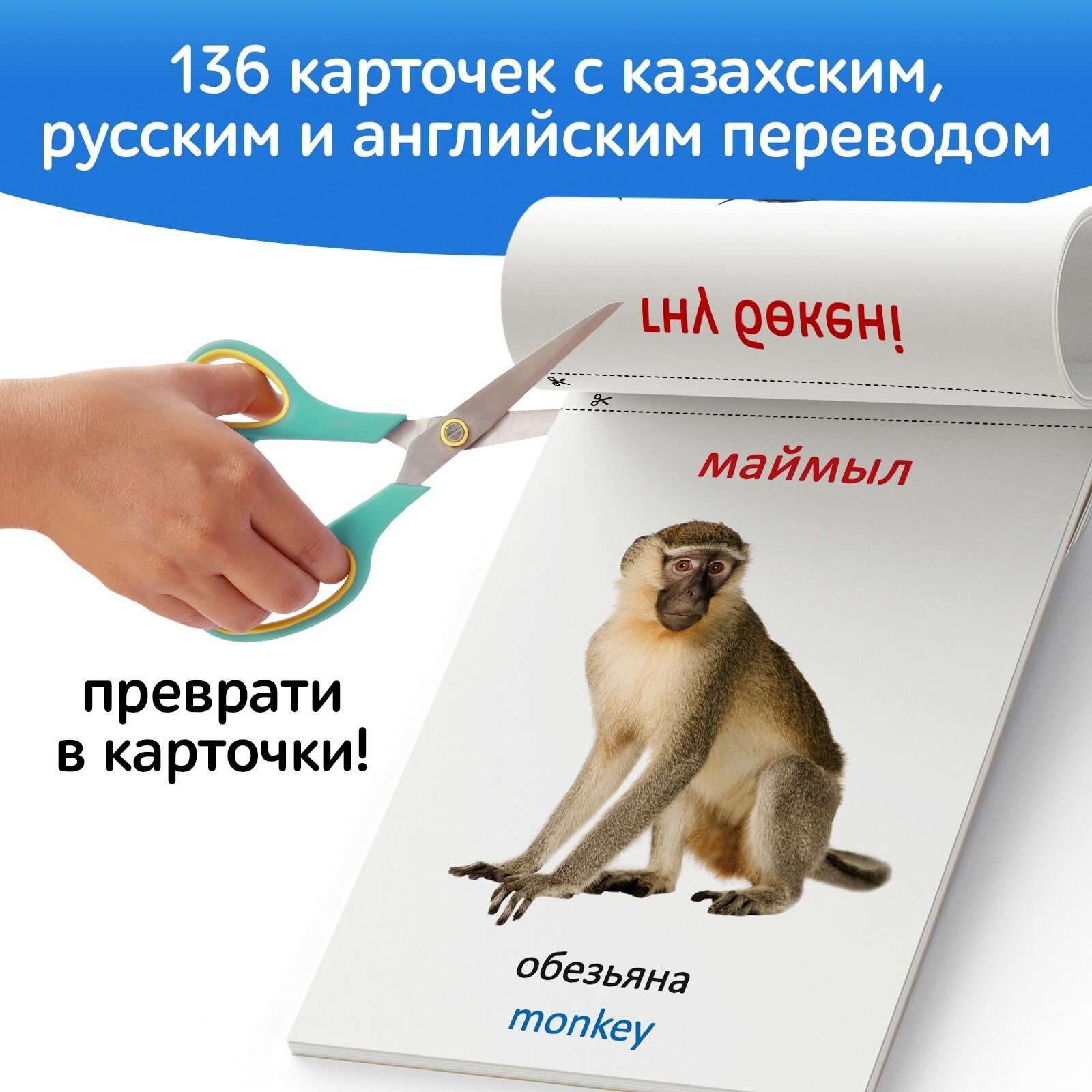 Набор книг по методике Г. Домана на казахском языке, 8 штук - фото №5