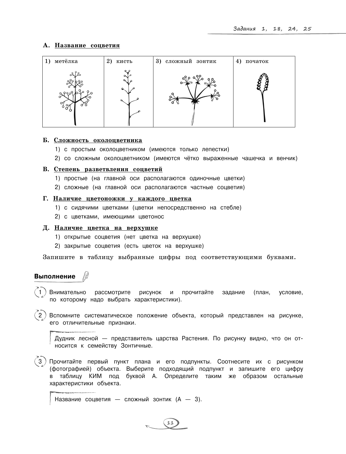 Биология (Мазур Оксана Чеславовна, Лаптева Ольга Владимировна) - фото №10