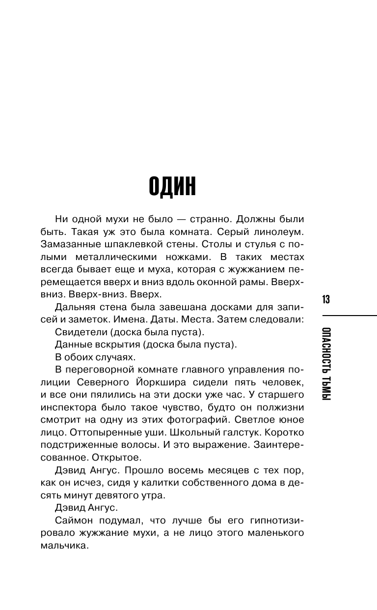 Опасность тьмы (Сьюзен Хилл) - фото №13