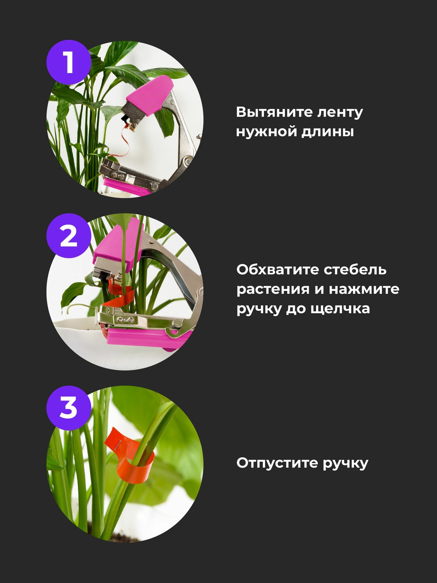 Изображение Тапенер садовый для подвязки растений универсальный Birdhouse, набор
