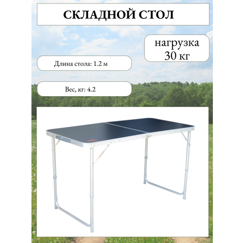 Складной стол Tramp Standart TRF-003, с чехлом, нагрузка 30кг, серый