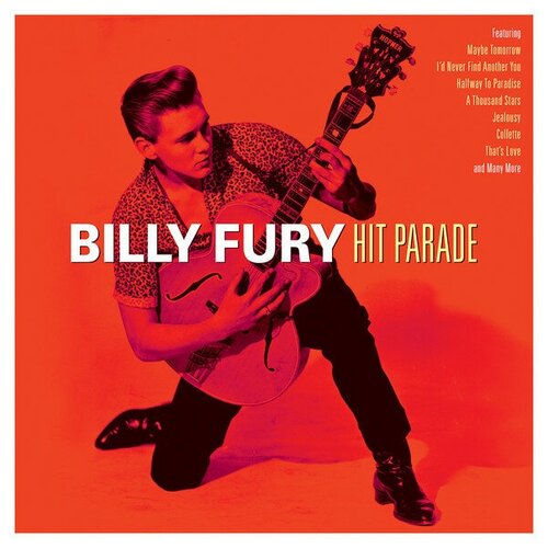 Fury Billy Виниловая пластинка Fury Billy Hit Parade fury billy виниловая пластинка fury billy hit parade