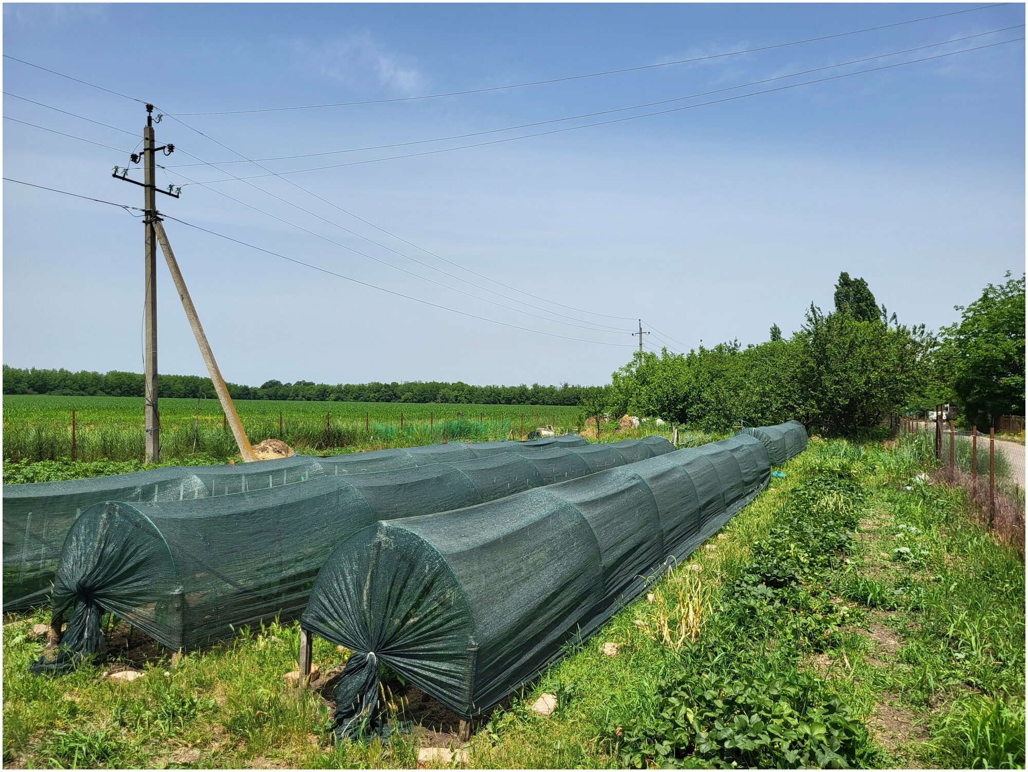 Солнцезащитная сетка 55%, 3х5м, затеняющая (фасадная) для теплиц, навеса, для растений, огорода, для строительства - фотография № 6