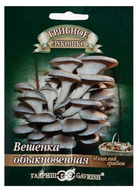 Семена Мицелий "Вешенка Обыкновенная", на древесной палочке, 12 шт.