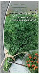 Семена Ваше хозяйство Укроп Лохматый Санька Среднеспелый кустовой сорт для выращивания в открытом и защищенном грунте. Растения компактные, сильно облиственные. Листья очень крупные, ромбовидные, пушистые, насыщенно зеленые, сочные, нежные, с сильным пряным ароматом. Масса одного растения до 150г. Долго сохраняют свежесть после срезки. Ценность сорта: замедленное стеблеобразование, длительный период хозяйственной годности на зелень, высокая ароматичность и содержание эфирных масел. 2гр. цв/п