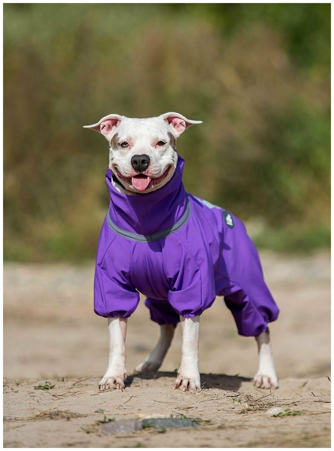 Комбинезон для собак Одежда для животных - фотография № 7