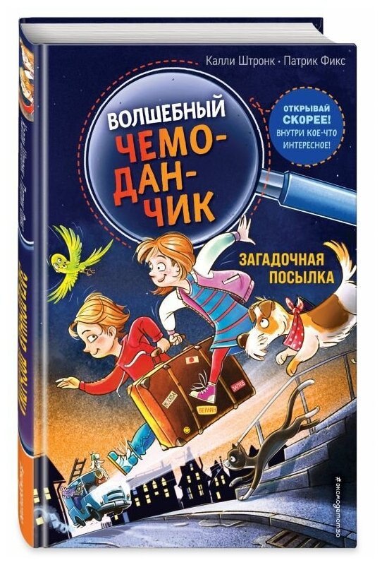 Загадочная посылка (выпуск 1) (Волшебный чемоданчик) - фото №1